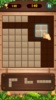Wood Block Puzzle - free puzzles game screenshot 4