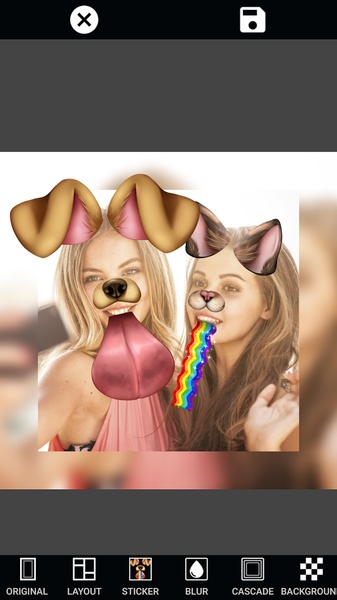 Collage Layout - Preview 8