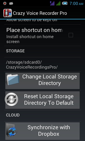 Crazy Voice Recorder - Preview 2
