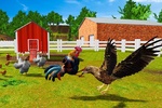 Rooster Simulator - Chick Life screenshot 15