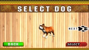 Dog Stunt Training 3D screenshot 5