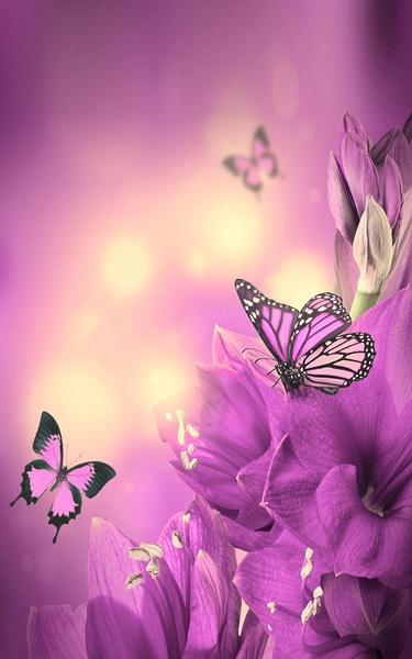 Butterfly Live Wallpaper - Preview 4