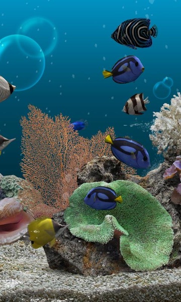 Marine Aquarium 3.2 - Preview 4