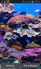 Aquarium Live Wallpaper screenshot 5