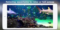 3D Aquarium Live Wallpaper Pro screenshot 1