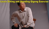 Qigong for Back Pain Relief screenshot 4