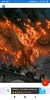Phoenix Wallpapers: HD images, Free Pics download screenshot 4