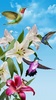 Birds screenshot 8