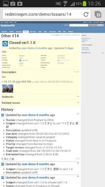 RedminePM - Preview 2