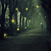 Fireflies Live Wallpaper screenshot 3