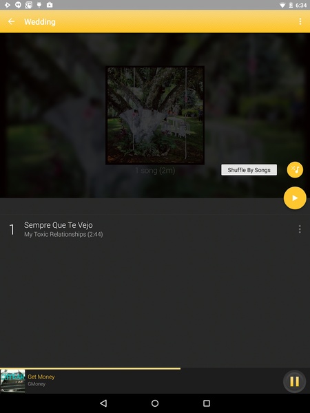 Rocket Player Gold Theme - Preview 13