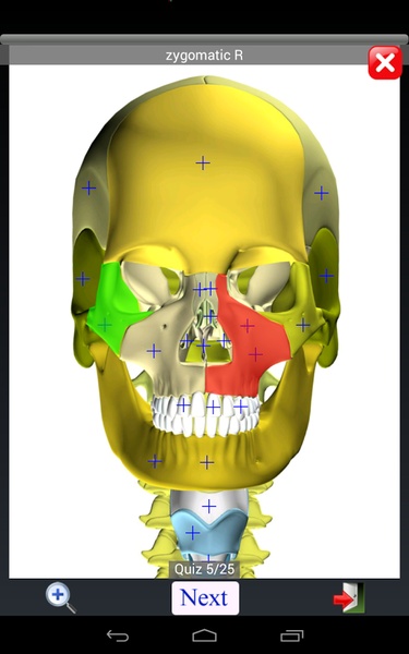 Anatomy Quiz Lite - Preview 2
