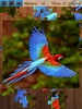 Birds Jigsaw Puzzles Game screenshot 6