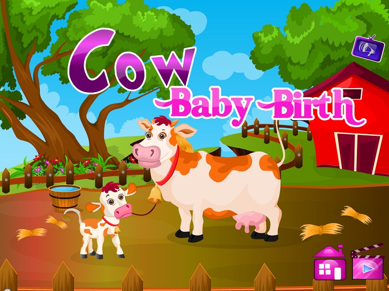 Cow Baby Birth - Preview 8