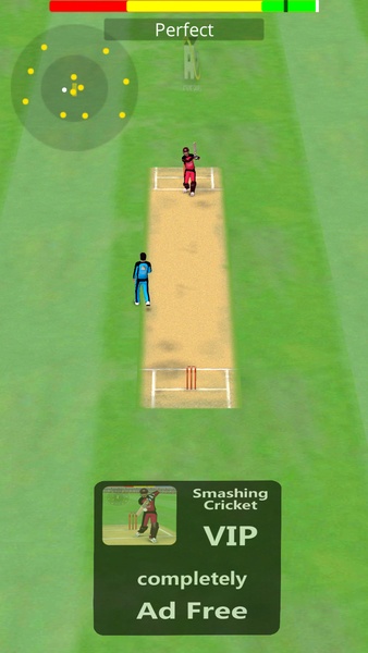 Smashing Cricket - Preview 2