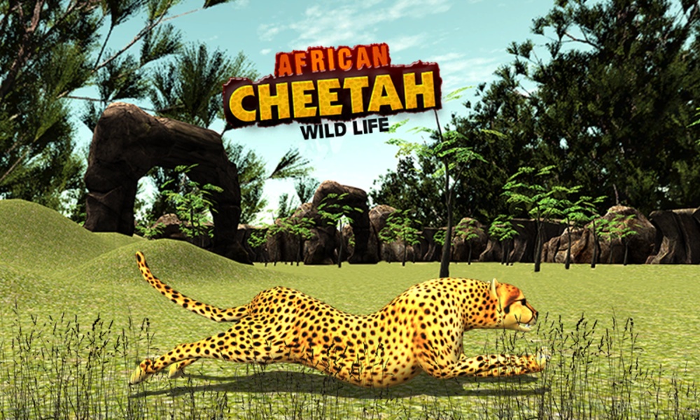 African Cheetah Wildlife - Preview 12