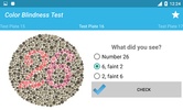 Color Blindness Test screenshot 1