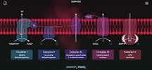 BiochemCity screenshot 6