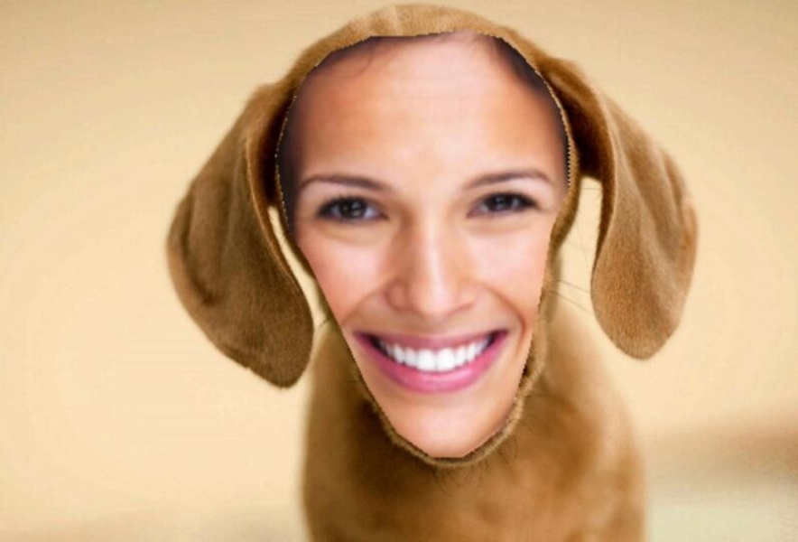 Funny Photo Maker Pro - Preview 7