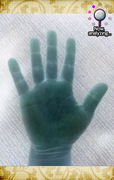 Palm Lite - Preview 2