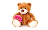 Teddy Bear Live Wallpaper screenshot 1