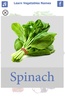 تعليم أسماء الخضروات باللغة الانجليزية screenshot 2