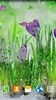 Spring Flower Live Wallpaper screenshot 10