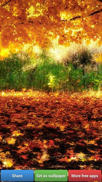 Glitter Gold Color HD Wallpapers - Preview 2