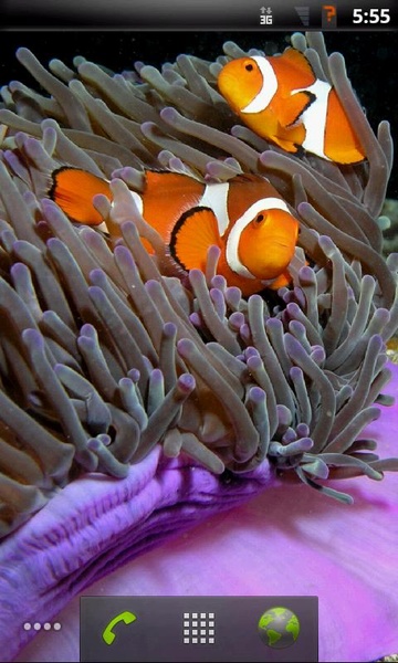 Tropical Fish Live Wallpaper - Preview 4
