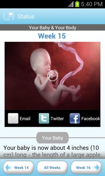 Pregnancy Companion - Preview 5