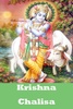 Krishna Bhajan and Aarti Audio screenshot 4