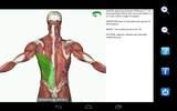 Visual Anatomy Free screenshot 17