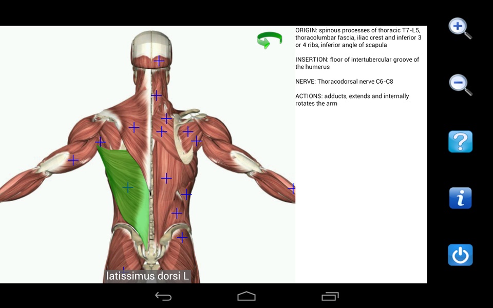 Visual Anatomy Free - Preview 16