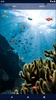 Ocean Fish Live Wallpaper 4K screenshot 1