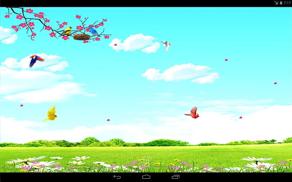Sky Birds (free) - Preview 5