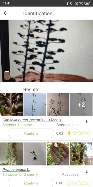 PlantNet Plant Identification - Preview 7