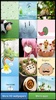 Cute Kawaii HD Wallpapers screenshot 8