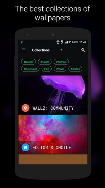 Wallz - Preview 8