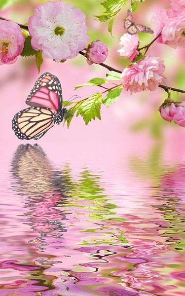 Pink Flowers Live Wallpaper - Preview 5