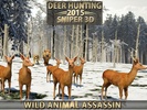 Deer Hunting – 2015 Sniper 3D screenshot 7