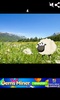Cuenta ovejas screenshot 3
