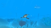 VR Ocean Aquarium 3D screenshot 7