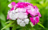 Wonderful Flowers Puzzle screenshot 5