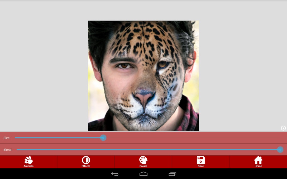 AnimalFaces - Preview 2