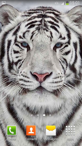 White Tiger Live Wallpaper - Preview 4