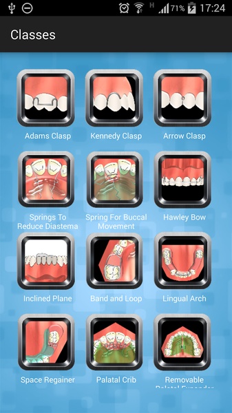 Dental Study - Preview 2