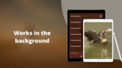 Goose Sounds & Hunting calls screenshot 3