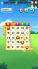 Bingo Day: Lucky to Win screenshot 10