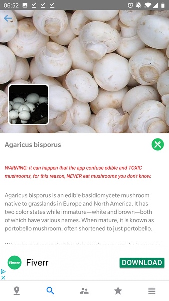 Mushroom Identificator - Preview 9