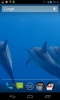Dolphins 3D screenshot 4